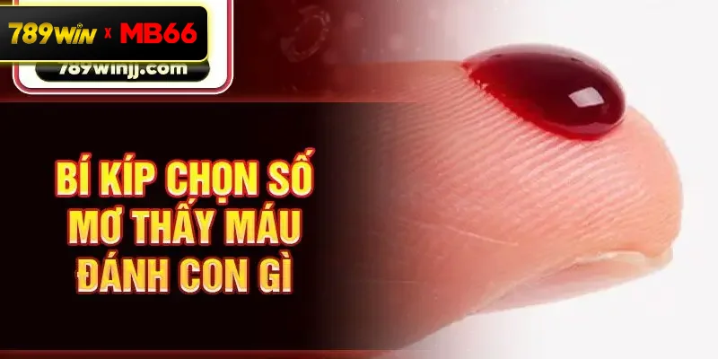 Bí kíp chọn số mơ thấy máu đánh con gì Bí kíp chọn số mơ thấy máu đánh con gì