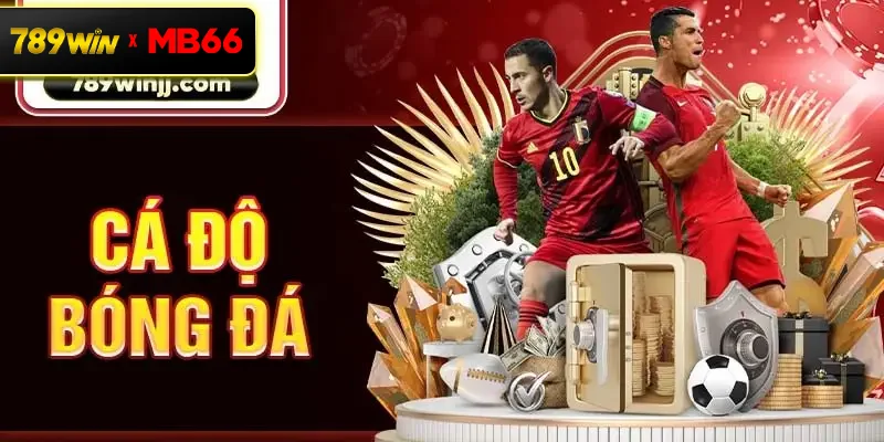 ca-do-bong-da