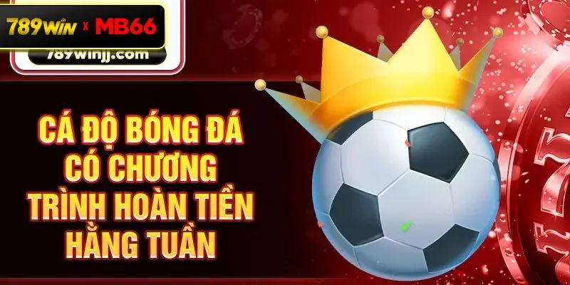 Cá độ bóng đá có chương trình hoàn tiền hằng tuần