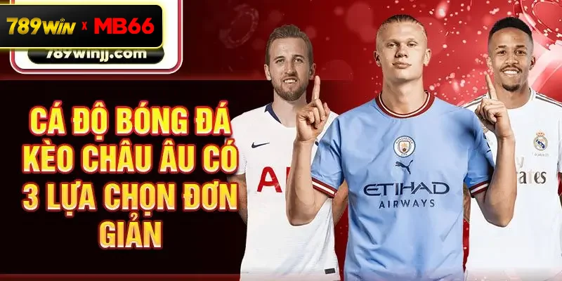 Cá độ bóng đá kèo châu Âu có 3 lựa chọn đơn giản
