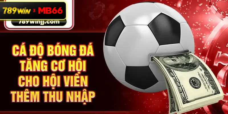 Cá độ bóng đá tăng cơ hội cho hội viên thêm thu nhập