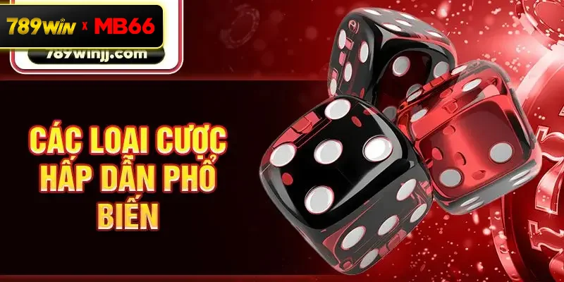 Các loại cược hấp dẫn phổ biến Các loại cược hấp dẫn phổ biến