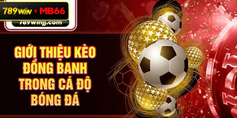 Giới thiệu kèo đồng banh trong cá độ bóng đá Giới thiệu kèo đồng banh trong cá độ bóng đá