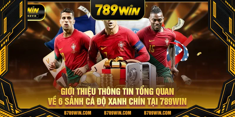 Giới thiệu thông tin tổng quan về 6 sảnh cá độ xanh chín tại 789win Giới thiệu thông tin tổng quan về 6 sảnh cá độ xanh chín tại 789win