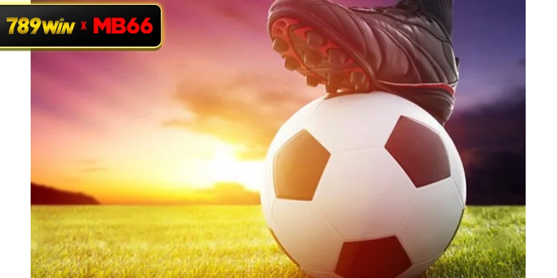 Kèo Châu Âu tại Nhà Cái 789 WIN – Trải Nghiệm Cá Cược Thể Thao Đáng Tin Cậy Kèo Châu Âu tại Nhà Cái 789 WIN – Trải Nghiệm Cá Cược Thể Thao Đáng Tin Cậy