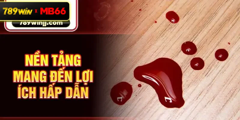 Nền tảng mang đến lợi ích hấp dẫn Nền tảng mang đến lợi ích hấp dẫn