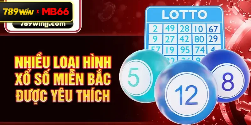 Nhiều loại hình xổ số miền Bắc được yêu thích Nhiều loại hình xổ số miền Bắc được yêu thích