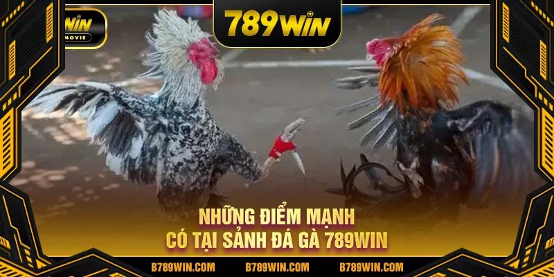 Những điểm mạnh có tại sảnh đá gà 789WIN Những điểm mạnh có tại sảnh đá gà 789WIN