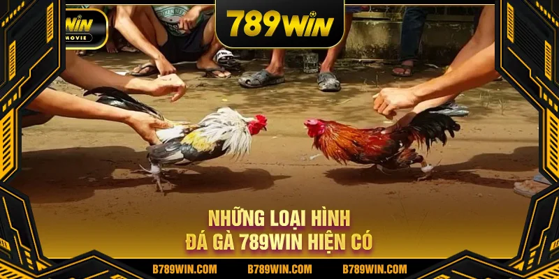 Những loại hình đá gà 789WIN hiện có Những loại hình đá gà 789WIN hiện có