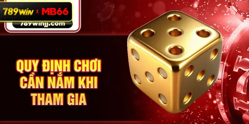Quy định chơi cần nắm khi tham gia Quy định chơi cần nắm khi tham gia