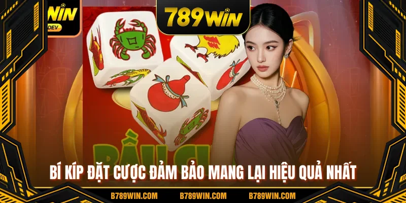 Bí kíp đặt cược đảm bảo mang lại hiệu quả nhất