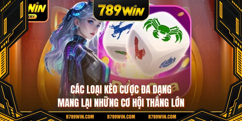 Các loại kèo cược đa dạng mang lại những cơ hội thắng lớn