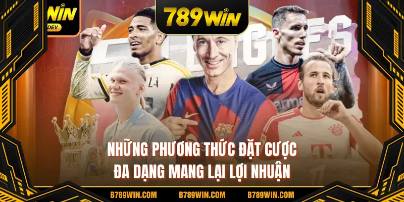 Những phương thức đặt cược đa dạng mang lại lợi nhuận