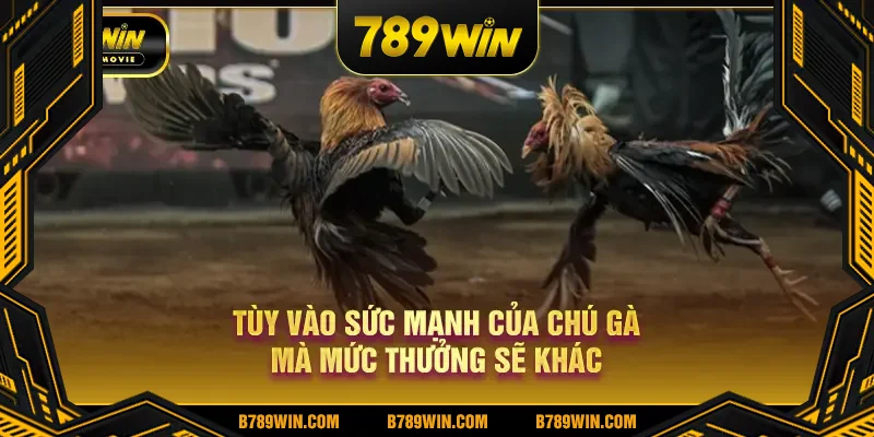 Tùy vào sức mạnh của chú gà mà mức thưởng sẽ khác Tùy vào sức mạnh của chú gà mà mức thưởng sẽ khác